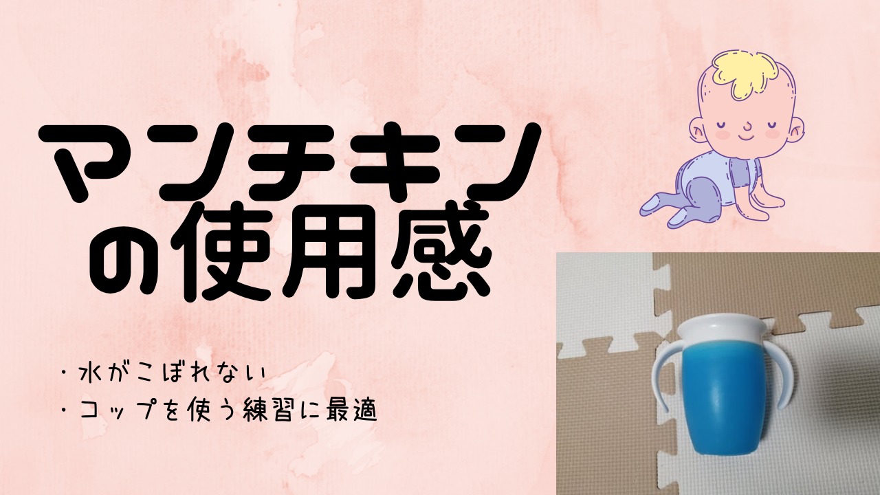 個人的No.1カップ】マンチキンのマグカップをレビュー【水はこぼれない】｜Sakitablog